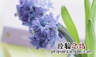 发朋友圈的文案小清新 发朋友圈的文案小清新可爱