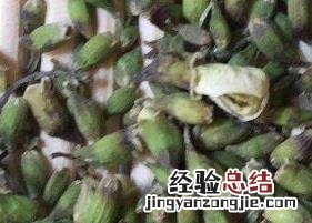槐米茶的功效与作用 槐米茶的功效与作用的功能与主治