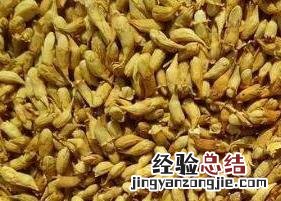 槐米茶的功效与作用 槐米茶的功效与作用的功能与主治
