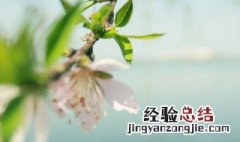 不负春光不负韶华什么意思 告诉人们不要辜负美好的时光