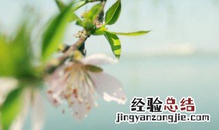 不负春光不负韶华什么意思 告诉人们不要辜负美好的时光