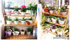 阳台木制花架选购技巧详细介绍 木质阳台花架