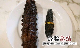 海参高压锅制作方法 海参高压锅的做法介绍