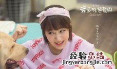 亲爱的热爱的演员表 亲爱的热爱的剧情简介