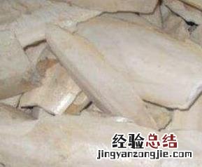 墨鱼壳的作用与功效 墨鱼壳的用处