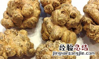 田七的药用价值 关于田七的药用价值