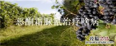 恶酮霜脲氰治疗啥病 恶酮霜脲氰治疗啥病能不能和杀虫剂混用