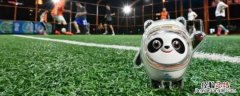 冰墩墩身上的图案是什么 冰墩墩身上的图案是什么意思