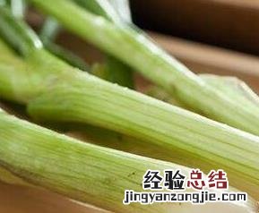 葱和蒜的区别 葱和蒜的区别和作用