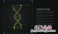 pdf是什么 有什么用