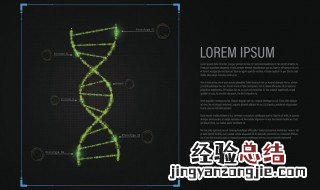 pdf是什么 有什么用