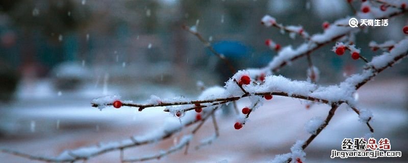 卜算子咏梅的诗意是什么 卜算子咏梅的诗意是什么陆游