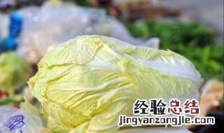 大白菜的营养价值及功效与作用和小白菜 大白菜的营养价值