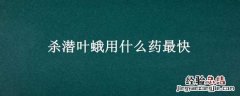 杀潜叶蛾用什么药最快 杀潜叶蛾用什么药最快最有效