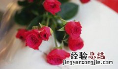 玫瑰花开得什么 玫瑰开花有什么兆头