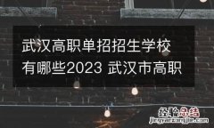 武汉高职单招招生学校有哪些2023 武汉市高职单招