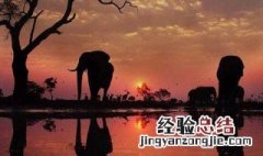 剪影特效视频素材库 剪影特效教程