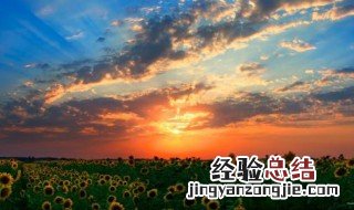 远景的概念和作用 远景作用