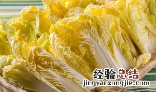娃娃白菜的营养价值 白菜的营养价值