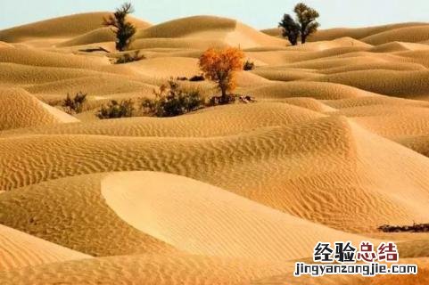 死亡之海沙漠是哪里 死亡之海是哪个沙漠