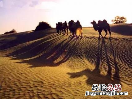死亡之海沙漠是哪里 死亡之海是哪个沙漠