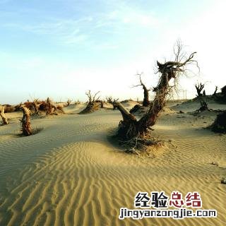 死亡之海沙漠是哪里 死亡之海是哪个沙漠