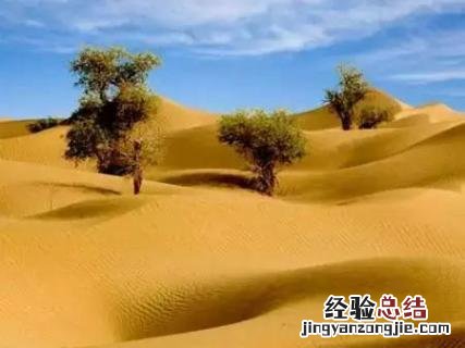死亡之海沙漠是哪里 死亡之海是哪个沙漠
