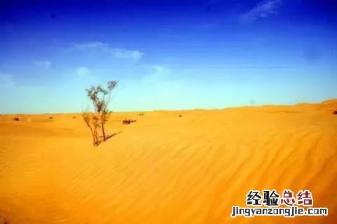 死亡之海沙漠是哪里 死亡之海是哪个沙漠