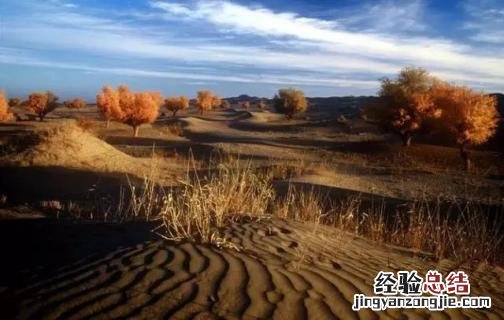 死亡之海沙漠是哪里 死亡之海是哪个沙漠