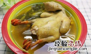 清蒸鸽子怎么蒸才好吃又简单 清蒸鸽子怎么蒸才好吃
