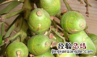 女生吃槟榔的危害 女生吃槟榔的危害有多大