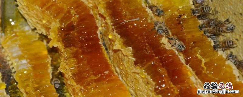 土蜂蜜的介绍资料 纯天然土蜂蜜的简要介绍