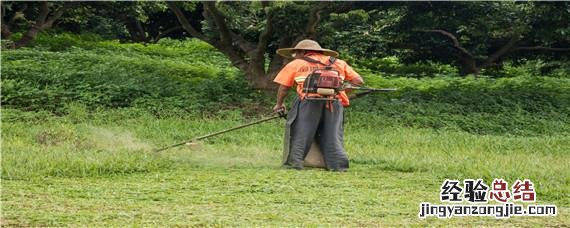 除草剂药害如何解救 怎么样解除草剂药害