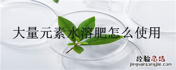 大量元素水溶肥怎么使用 大量元素水溶肥使用注意事项