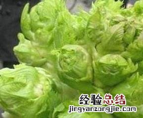 整体儿菜怎么腌制好吃 整体儿菜怎么腌制好吃又简单