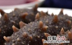 干海参如何泡发?泡发需要几天? 干海参如何泡发
