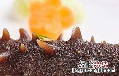 干海参如何泡发?泡发需要几天? 干海参如何泡发