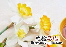 男人喝红茶的好处和坏处是什么 男人喝红茶的好处和坏处
