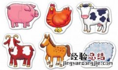 家畜常见的放血方法有哪些 家畜常见的放血方法