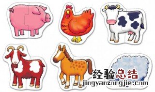 家畜常见的放血方法有哪些 家畜常见的放血方法