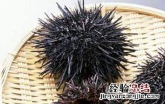 海胆怎么吃图解大全 海胆怎么吃图解