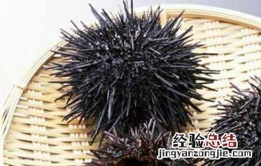 海胆怎么吃图解大全 海胆怎么吃图解