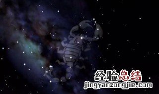 天蝎代表的花是什么颜色 天蝎代表的花是什么