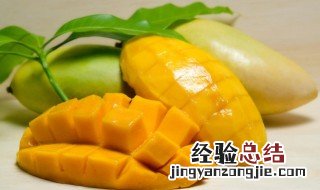 圆圆的芒果叫什么 哪种芒果是圆圆的