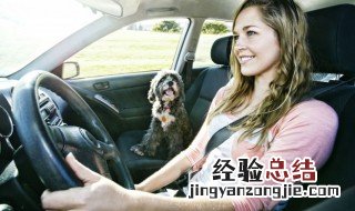 丹是什么地区车牌 车牌号丹是哪个城市