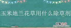 玉米地用什么除草剂好 玉米地兰花草用什么除草剂