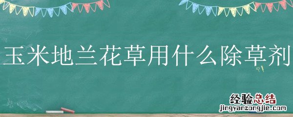 玉米地用什么除草剂好 玉米地兰花草用什么除草剂