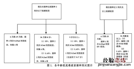 三 泰安流感疫苗常见问答 泰安流感疫苗在哪打