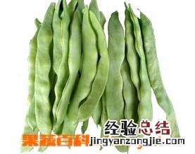 芸豆的病害防治方法 芸豆的病害防治方法有哪些
