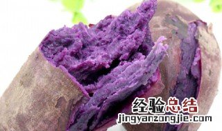 紫薯是什么时候种的呢 紫薯是什么时候种的